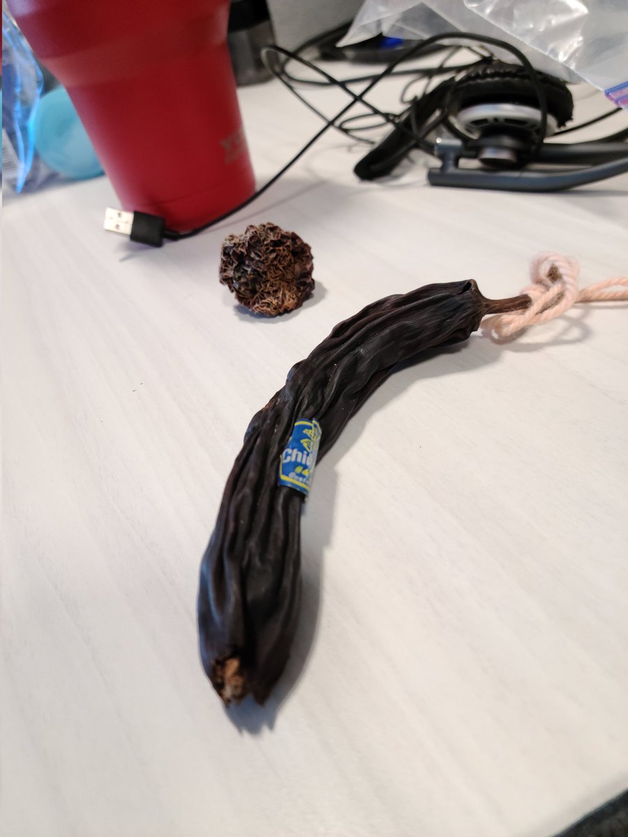Lexort25's tweet photo. As promised the moment we've all been waiting for is here. Ladies and Gentlemen: my 25+ year old banana! #oldapple #oldbanana https://t.co/PCubbbFLZa