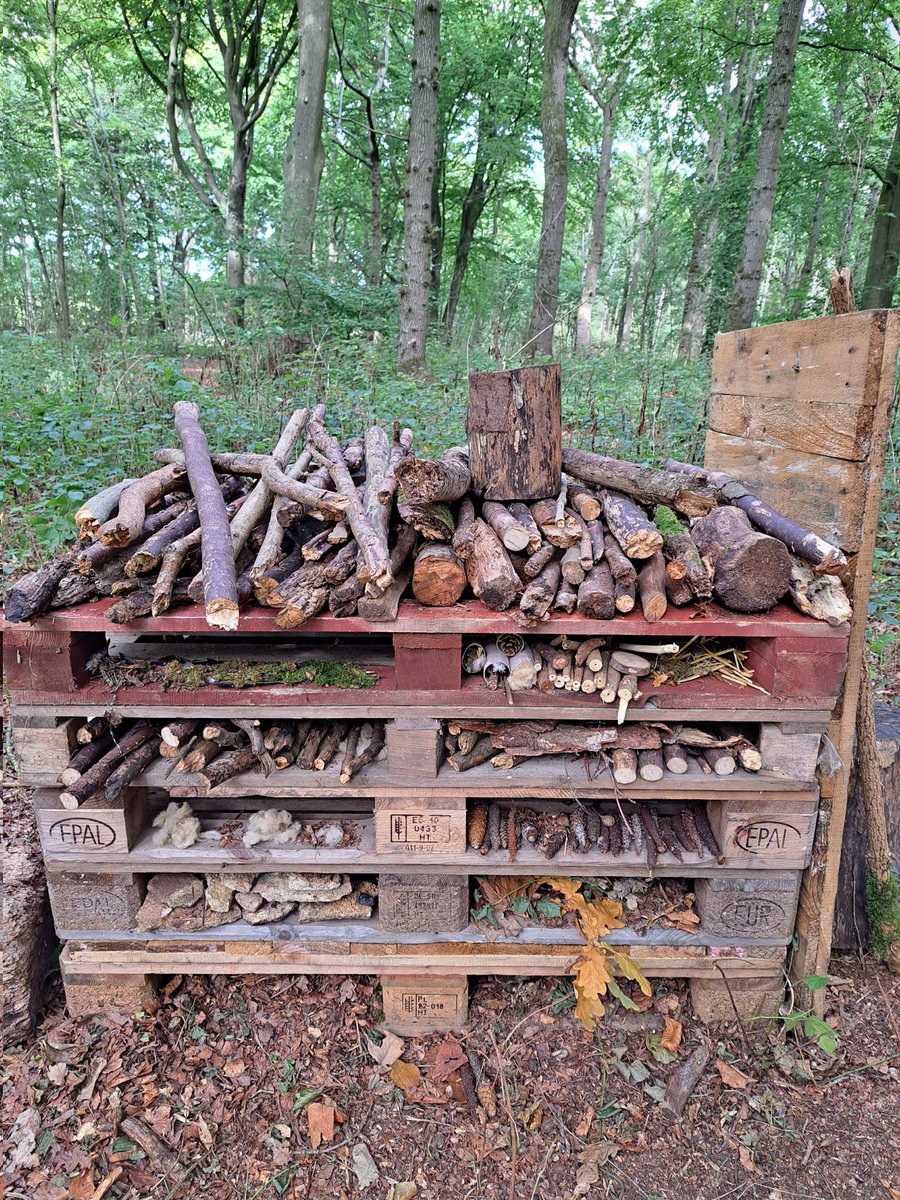 Please do nominate Noah's Ark Children's Venture for movementforgood.com/#nominateAchar… the more we get the more chance of £1,000 for the chairty to help make your residential possible and even better. Please RT #disadvantagedchildren #SEND #youth <a href="/xlplondon/">XLP</a> <a href="/sensecharity/">Sense</a>