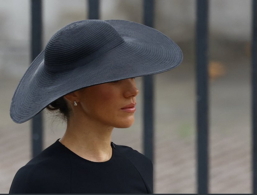 BMG03210251's tweet photo. If you looked like this and have a husband who looks like this in a sea of unmoituirized , over tanned faces bad dental 🦷 you … will just remain dignified, unbothered by the haters cause @ the end of the day you will go home back to USA 🇺🇸 with your #Prince who loves you 💙❤️💙 https://t.co/Nw5Wqr0Vpu