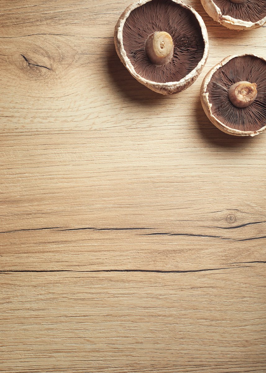 onlineworktops's tweet photo. Take a look at this amazing Lamura Sherwood Oak - Wood - Curved Edge - 40mm worktop décor!

Available sizes:
4050 x 600 x 20mm Worktop
4050 x 900 x 20mm Breakfast Bar
2050 x 900 x 20mm Breakfast Bar
Love it? Order it here: https://t.co/LxsYZxFtra

#renovation #worktops https://t.co/NElk9emKRZ