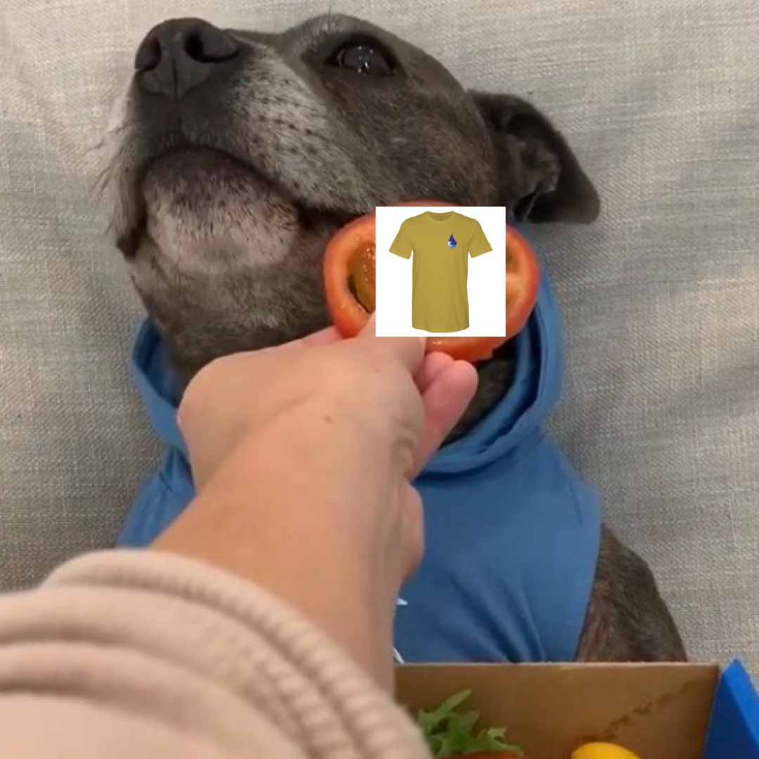 VonImani's tweet photo. When it’s 3 degrees cooler outside  &amp; you’ve been waiting to buy a @VonImani hoodie only to see new shirts instead of hoodies https://t.co/h2vzEHsFO7