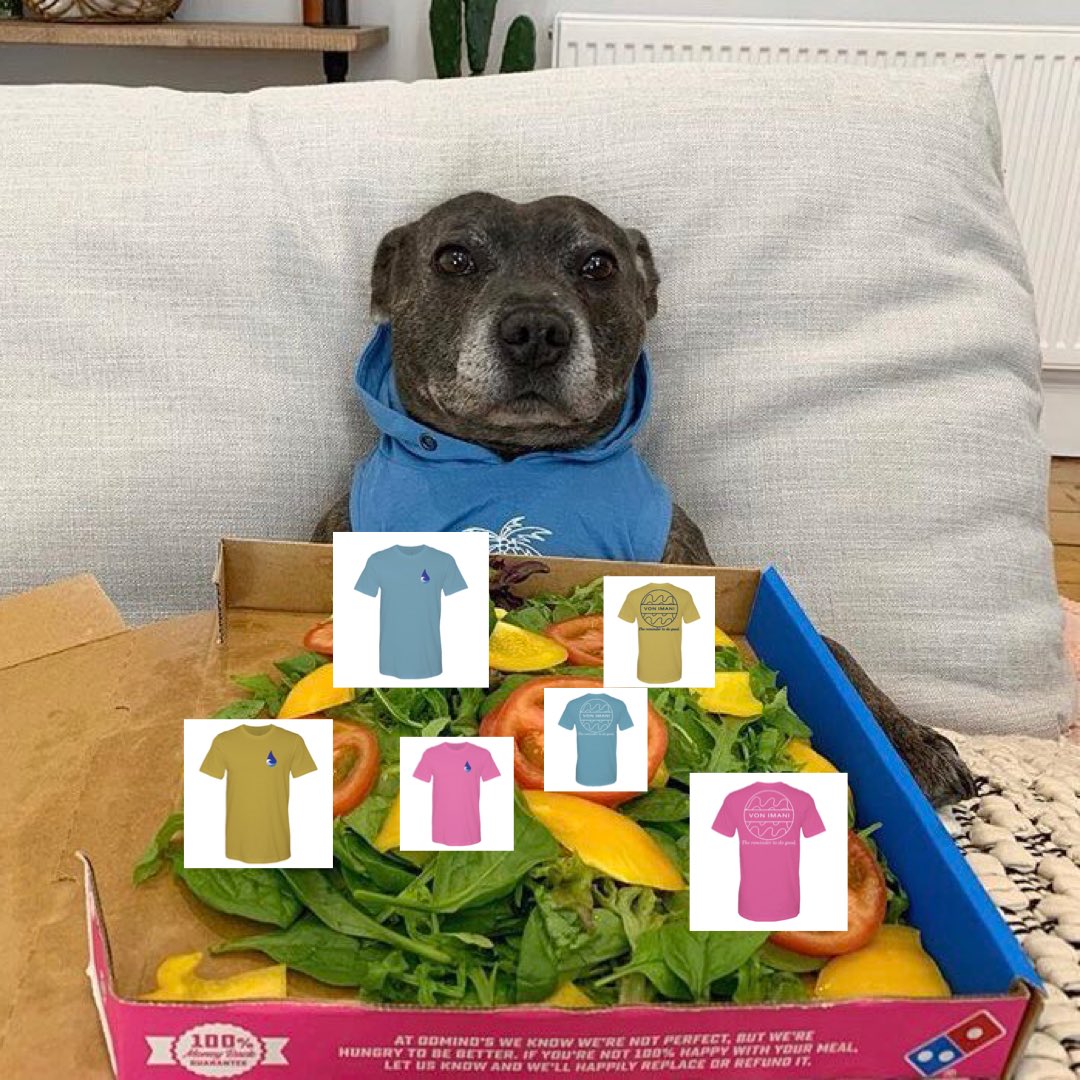 VonImani's tweet photo. When it’s 3 degrees cooler outside  &amp; you’ve been waiting to buy a @VonImani hoodie only to see new shirts instead of hoodies https://t.co/h2vzEHsFO7