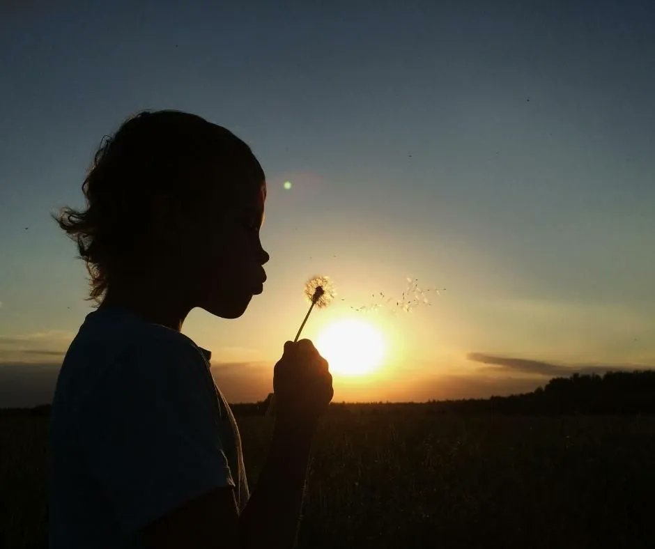 windowbubble's tweet image. “With all these lovely tokens of September days are here, with summers best of weather and the autumns best of cheer.” – Helen Hunt Jackson || WindowBubble.com

#WindowBubble