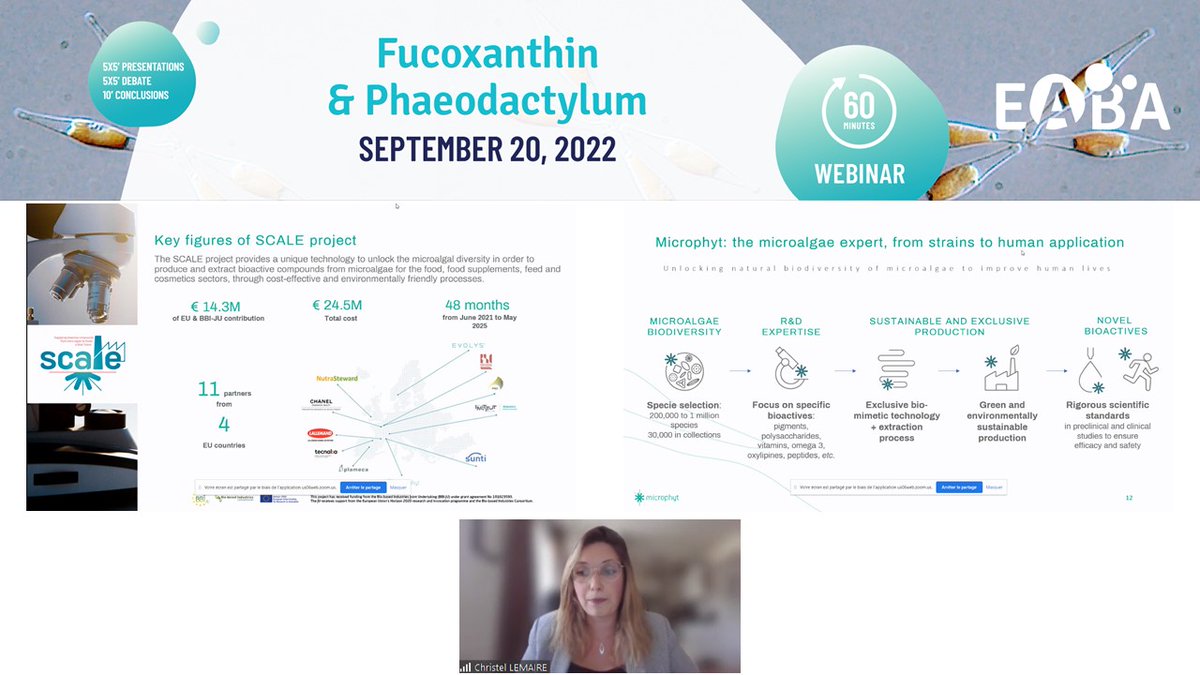EABA_Algae's tweet photo. 💡 10’ presentation n°1:
« BrainPhyt™ project story: from Phaeodactylum tricornutum strain to human application and health benefits » with Christel Lemaire, Microphyt
#algae #macroalgae #microalgae #pigment #fucoxanthin #phaeodactylum #nutraceuticals #ingredients #challenges https://t.co/hDqFFKNCgp