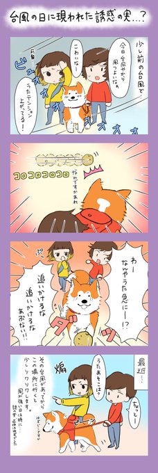 「台風の日に現れた誘惑の実…?」
前の台風の時のから今でも続いてる事を描きました…!
少し変なところに目が行ってしまう、うたです🤣
私の住んでいるところは少し風が強いかな…くらいだったので、今日も散歩に行ってきました…!

皆様、台風に十分お気をつけください…! 
