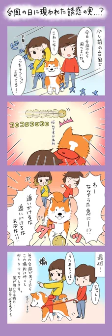 「台風の日に現れた誘惑の実…?」
前の台風の時のから今でも続いてる事を描きました…!
少し変なところに目が行ってしまう、うたです🤣
私の住んでいるところは少し風が強いかな…くらいだったので、今日も散歩に行ってきました…!

皆様、台風に十分お気をつけください…! 
