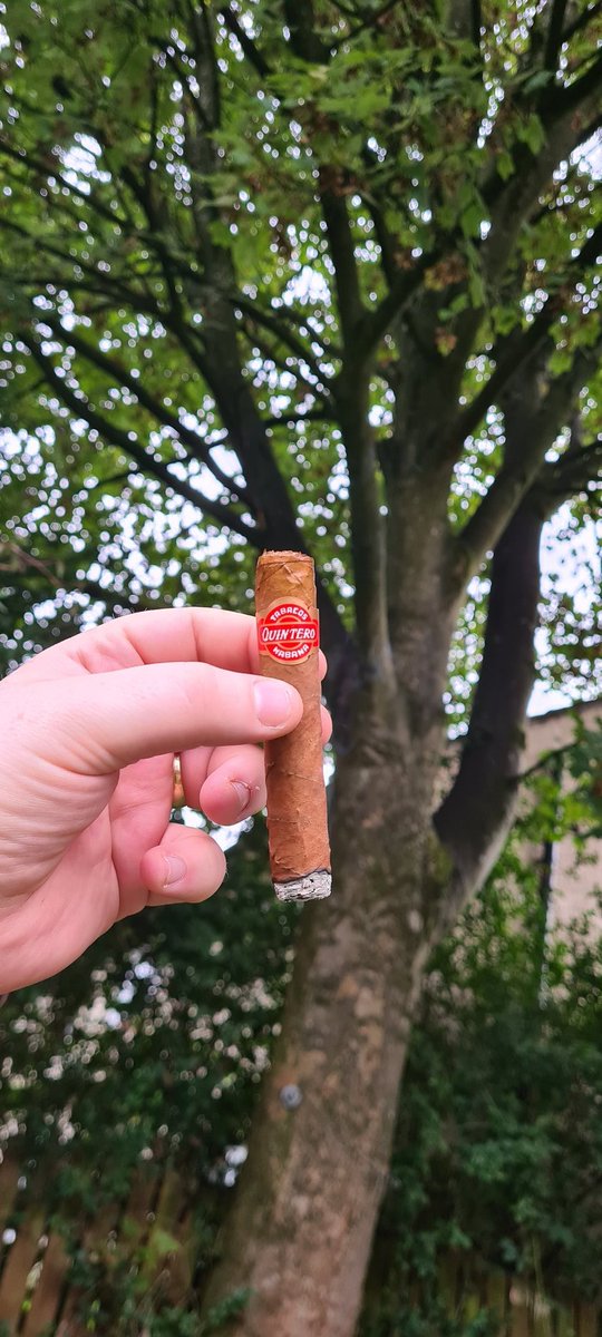 Drewster513's tweet photo. Another Petit Quintero before the heavens open.
Also really looking forward to a @Cgarsltd sampling night in a couple of weeks.
#cigars #Cgar https://t.co/mRrwC15U3i