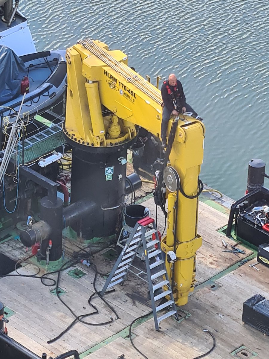 Drive a crane elephant today!