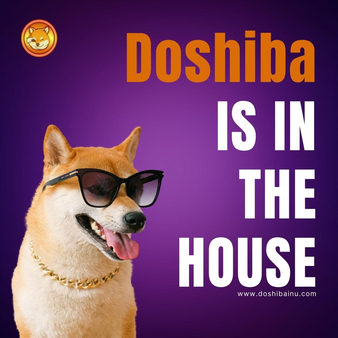 Doshiba Inu tweet media