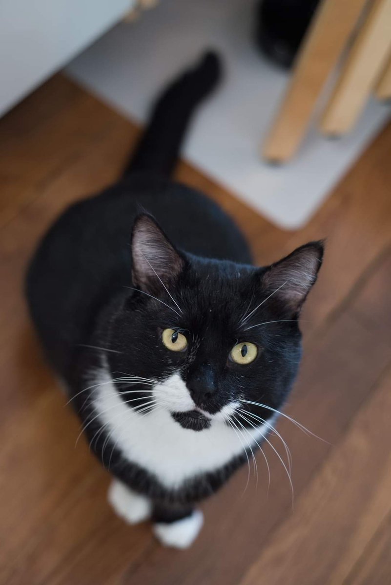 Association Owca tweet media