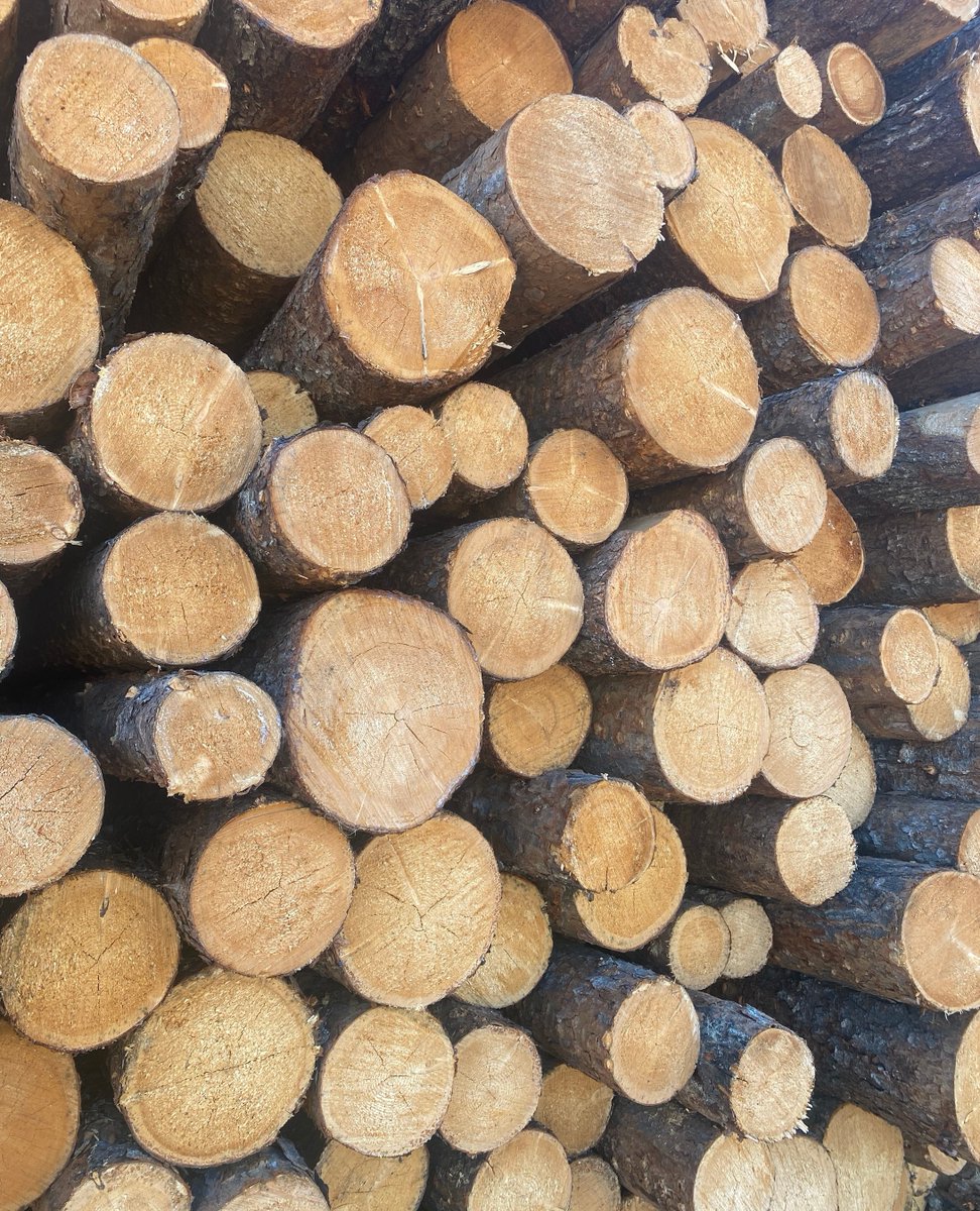 Biothermic's tweet photo. Decarbonize everything with electrification(heat pumps)?  Won't work.  Using mature wood for products, energy (and jobs!) to decarbonize heating loads is smart, sustainable and technologically viable, right now! https://t.co/cW6gP1k2JA