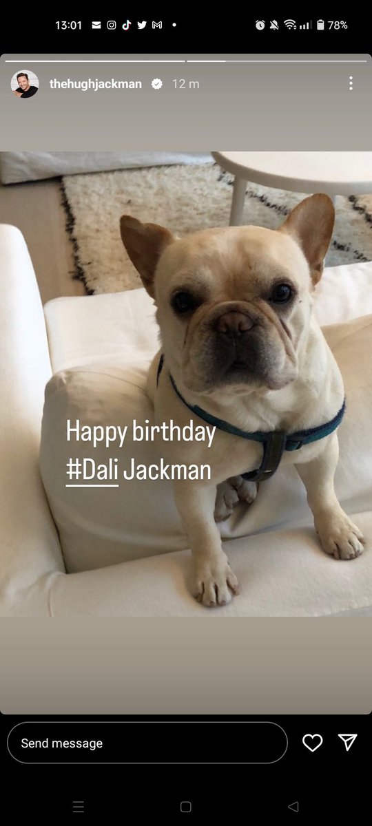 hjs_army's tweet photo. Happy heavenly birthday Dali.
.
I'm sure your dad is missing you very much. Sending big hugs @RealHughJackman.
.
#hj #hughjackman #thehughjackman #hughmichael #hughmichaeljackman #dali #dalijackman #dada #dogs #heavenlybirthday #dogsinheaven #absentpets https://t.co/xJru26lqOK
