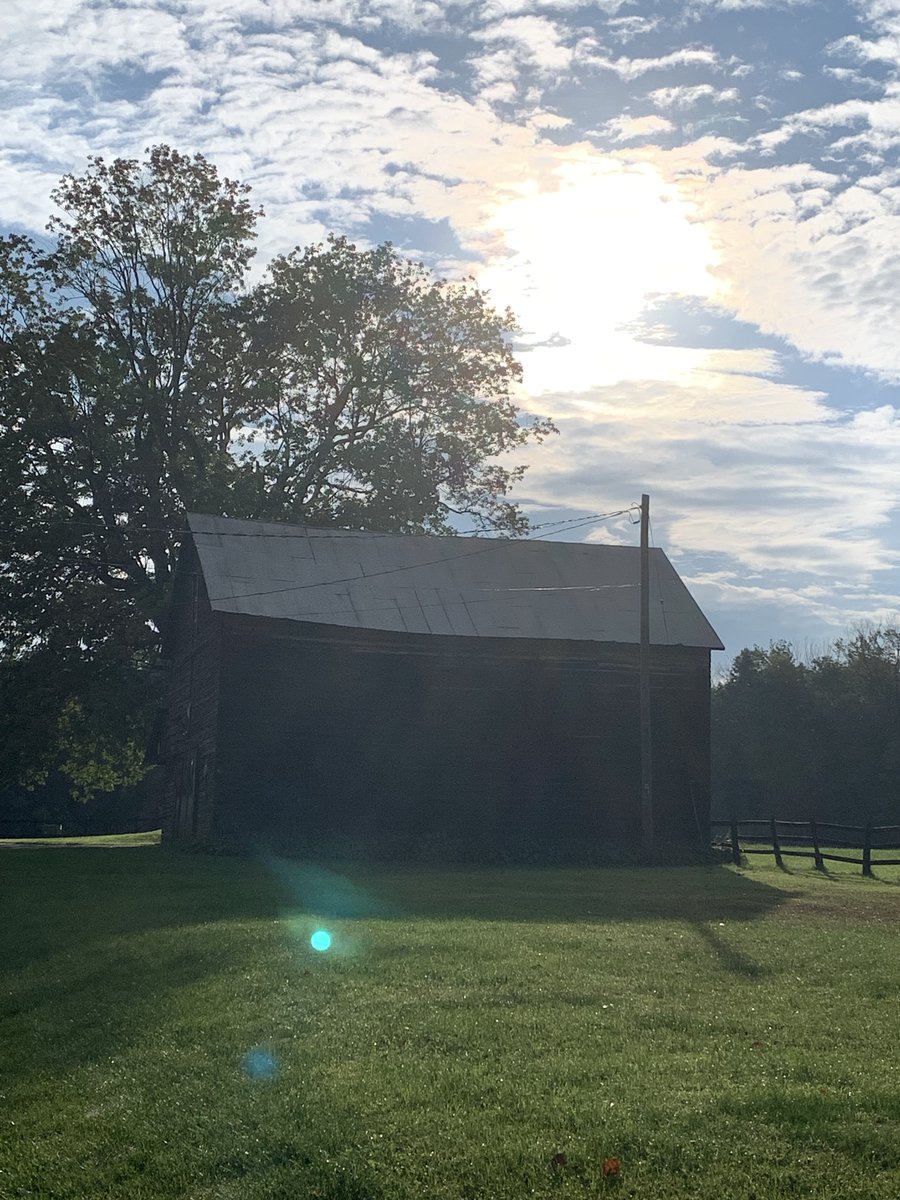 Morning walk to the bus stop. I’m getting use to this country life. I Hope everyone has a glorious day! 🌞