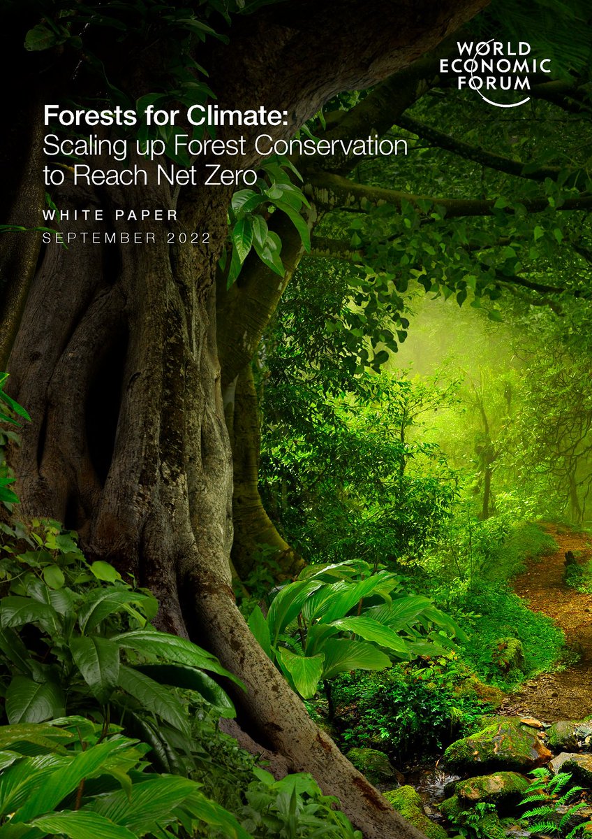 1.6 billion people depend on forests for food, water, wood and employment. With deforestation responsible for nearly 15% of emissions, conserving them is the most cost-effective way to abate carbon emissions.

This report explores how: weforum.org/whitepapers/fo…
