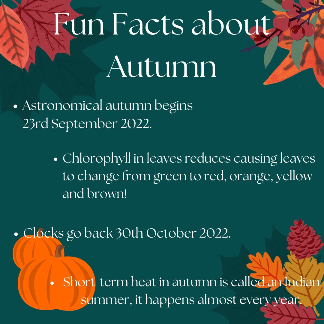 We all love kicking the autumn leaves! #autumn #Fall