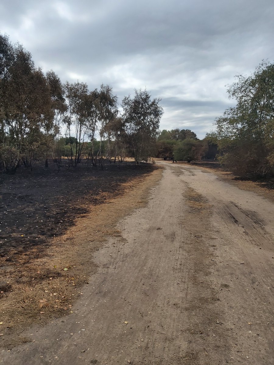 KentPoliceDart's tweet photo. PCSO ROBERTS has been conducting regular foot patrols in and around Dartford Heath today. #GettingThoseStepsIn #VisiblePolicing #KeepingDartfordSafe ^DR https://t.co/Ir5XSkHLI1