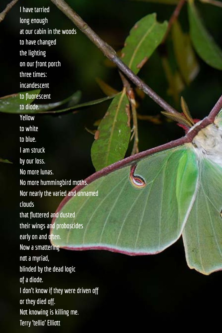 telliowkuwp's tweet photo. A story and a poem, hovering with light.

https://t.co/DHcO5tDGjD  #clmooc #EPIClearning #nwpstudio https://t.co/hO7Ncr3plV