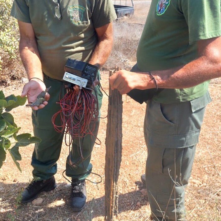CABS_REPORTS's tweet photo. โ ๏ธ Repeat offender caught in #Cyprus: Despite being caught last autumn trapping birds with #limesticks and being fined โฌ900; a trapper - well known on our radar - was caught yet again yesterday. Read more ๐ https://t.co/IRHvASJo5Y https://t.co/csrt1s9llr