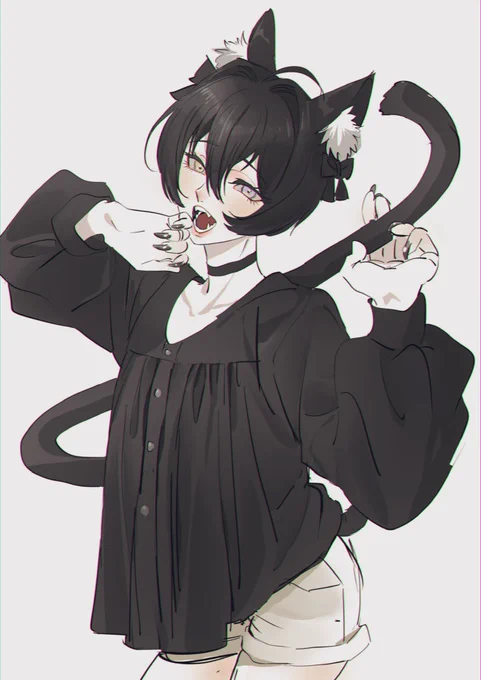 DOLKから出る黒猫が可愛すぎる…欲しい 
