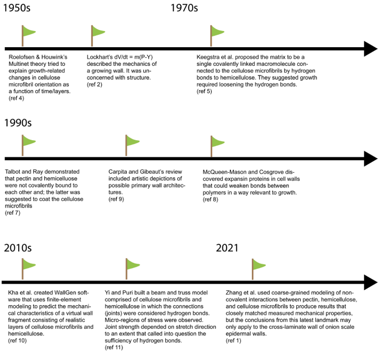 plantcellwall's tweet photo. A highly readable mini-history of primary wall structure, leading to our 2021 coarse-grain model. Faculty Review https://t.co/BbiqwggOI5 by Geitmann @GeitmannLab, Mulder @belamulder, Persson &amp; Spalding @phytomorph. @PlantCellWalls @Pam_Hines https://t.co/fb8sbGd74z