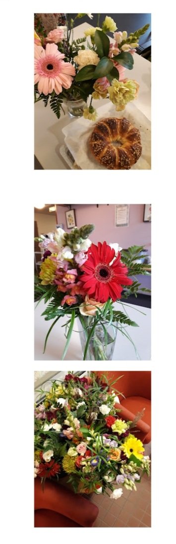 AnittaHietar's tweet photo. Kukkaloistoa syksyisiin päiviin #kiitosFlowerRescue https://t.co/zKrVOSLiX6