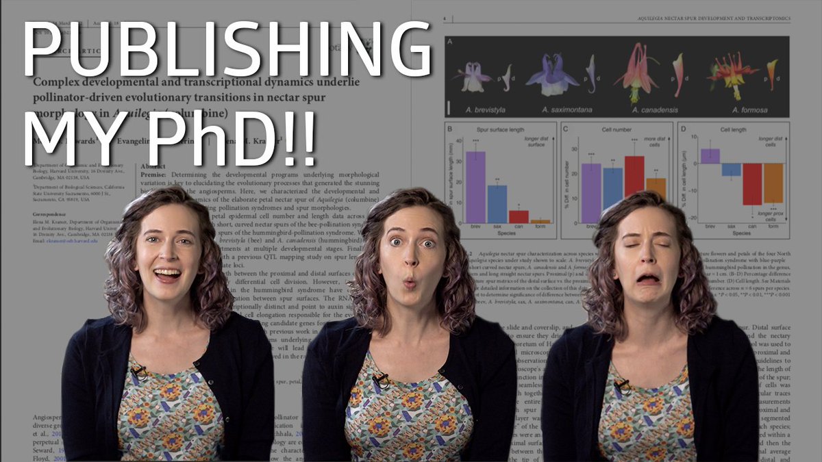 MY PAPER IS OUT IN <a href="/Botanical_/">Botanical Society of America</a> !!! We characterize the development and transcriptomics of the weird and wonderful nectar spurs of bee- and hummingbird-pollinated columbine flowers. 

Obv marked the occasion on Science IRL🌸 youtube.com/watch?v=tkx8cL…

Paper: bsapubs.onlinelibrary.wiley.com/doi/epdf/10.10…