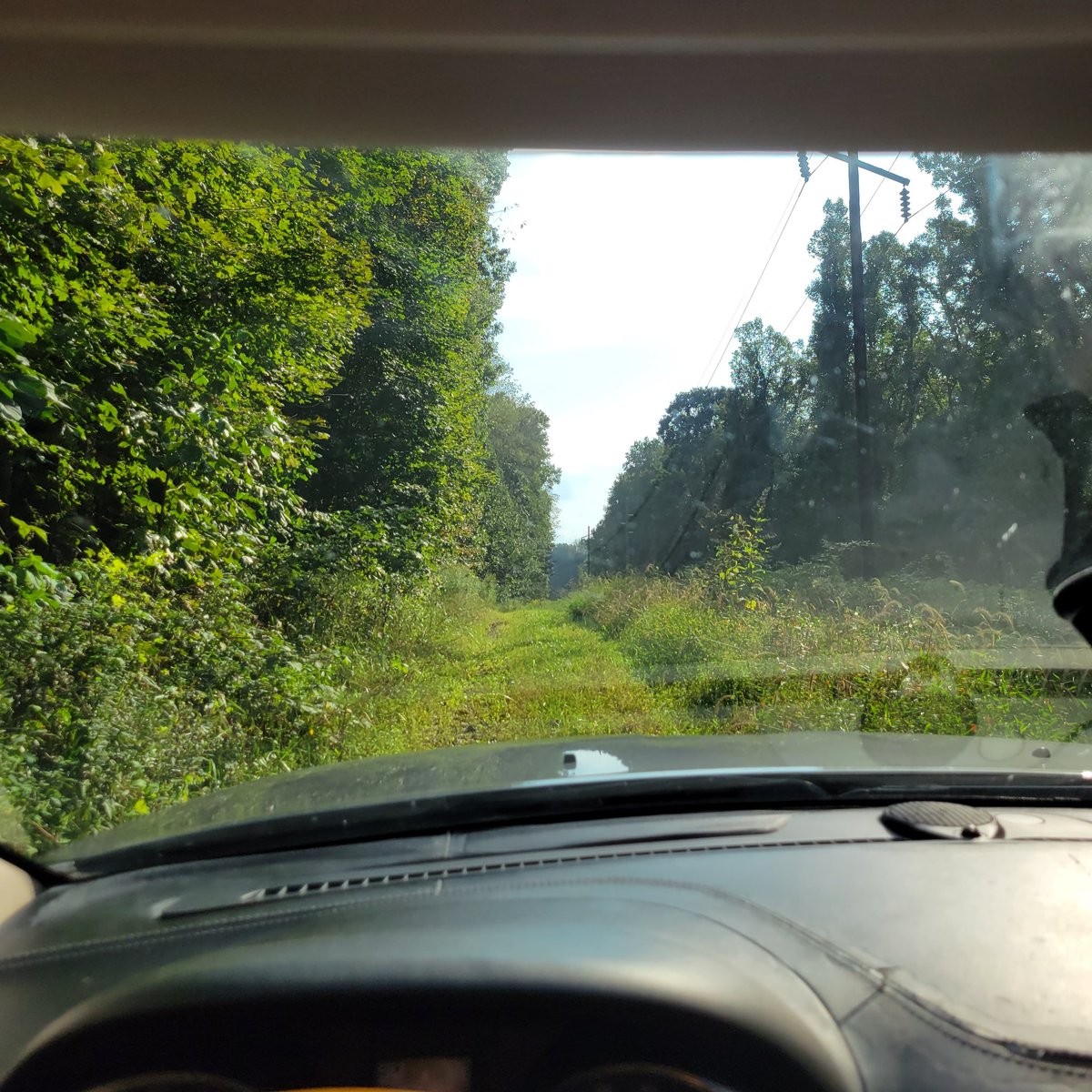 <a href="/LARRYIRBY6/">LARRYIRBY</a> <a href="/AmeriCannaBlunt/">AmericannaBlunt♡⁠˖</a> <a href="/HerHighnessnyc/">Her Highness</a> <a href="/jfuzz19/">Jeffuzzerino19</a> @BFO5O6_v2 <a href="/vizurantvis/">✨𝓥𝓲𝓼𝓾𝓻𝓪𝓷𝓽🇺🇸✨</a> <a href="/nyhardhat1/">Tony (aka PopsaBlaze) and Cindy</a> <a href="/DucktheRoofer/">Duck</a> <a href="/Sunalei2/">Sunalei Hutsilvha ✌️💚🌬️</a> <a href="/stoneteacher420/">+StoneTeacher420🇵🇷AKA(TEACH420)💚</a> <a href="/SusieQ99345590/">SusieQ🌿🌹💨🧘‍♀️☮️🌻☕️</a> <a href="/ThatsFluffedUp/">🦓🦽Shut-the-Fluff-up</a> <a href="/AlluraIsBrite/">ꜱᴀᴜᴄʏ ꜱᴀꜰᴀʀɪ</a> <a href="/JPrattle/">Jhondo Prattle</a> <a href="/NaturalLady4/">NaturalLady4</a> <a href="/tnbnatural/">TNB Naturals</a> <a href="/ChefJoeette/">joeette Benjamin AKA Aubela Mota Jojo👨🏾‍🦼🌬️🪴</a> <a href="/enokian1/">WINTA_HILL_VILLEN</a> @Gingerdabs @herbalinfuser <a href="/irish_warrior1/">Once A Soldier, Always A Soldier</a> <a href="/ladybuggedhc/">HighHeidy</a> <a href="/JoeVito12/">Joe DeVito</a> It definitely quiet at the tower sites. The access roads to them are fairly remote and not maintained.  4x4 is required for most of the roads.