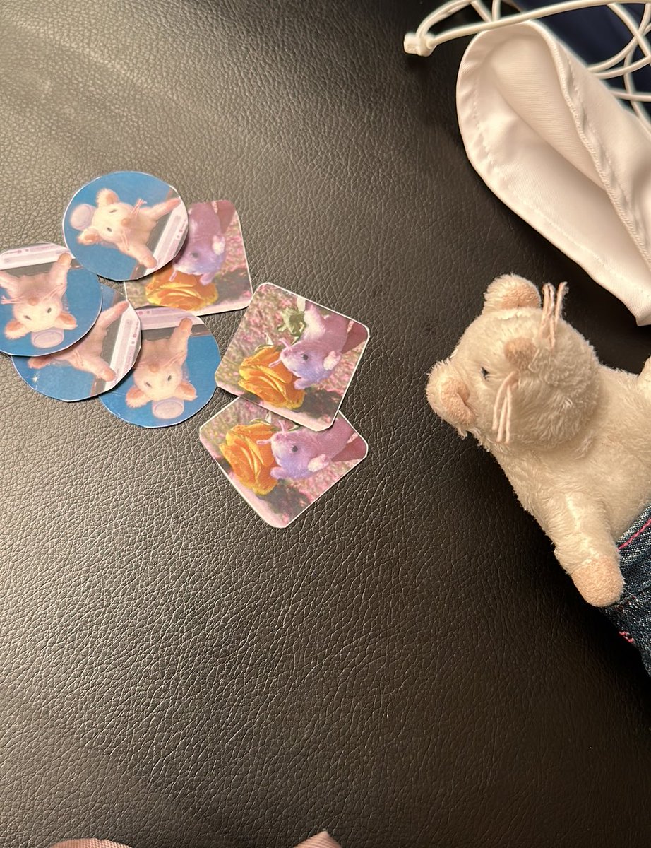 MandiTheRat's tweet photo. الستيكرات التي تحمل هوية الفأر المعشوق مندي 
اصبحت الآن متاحة للتوزيع👯‍♀️🐁 
يمكنك الحصول على نسختك اذاانت تدرس مع مند في جامع ة الملك سعود فرع البنات https://t.co/jUyUHlcArL