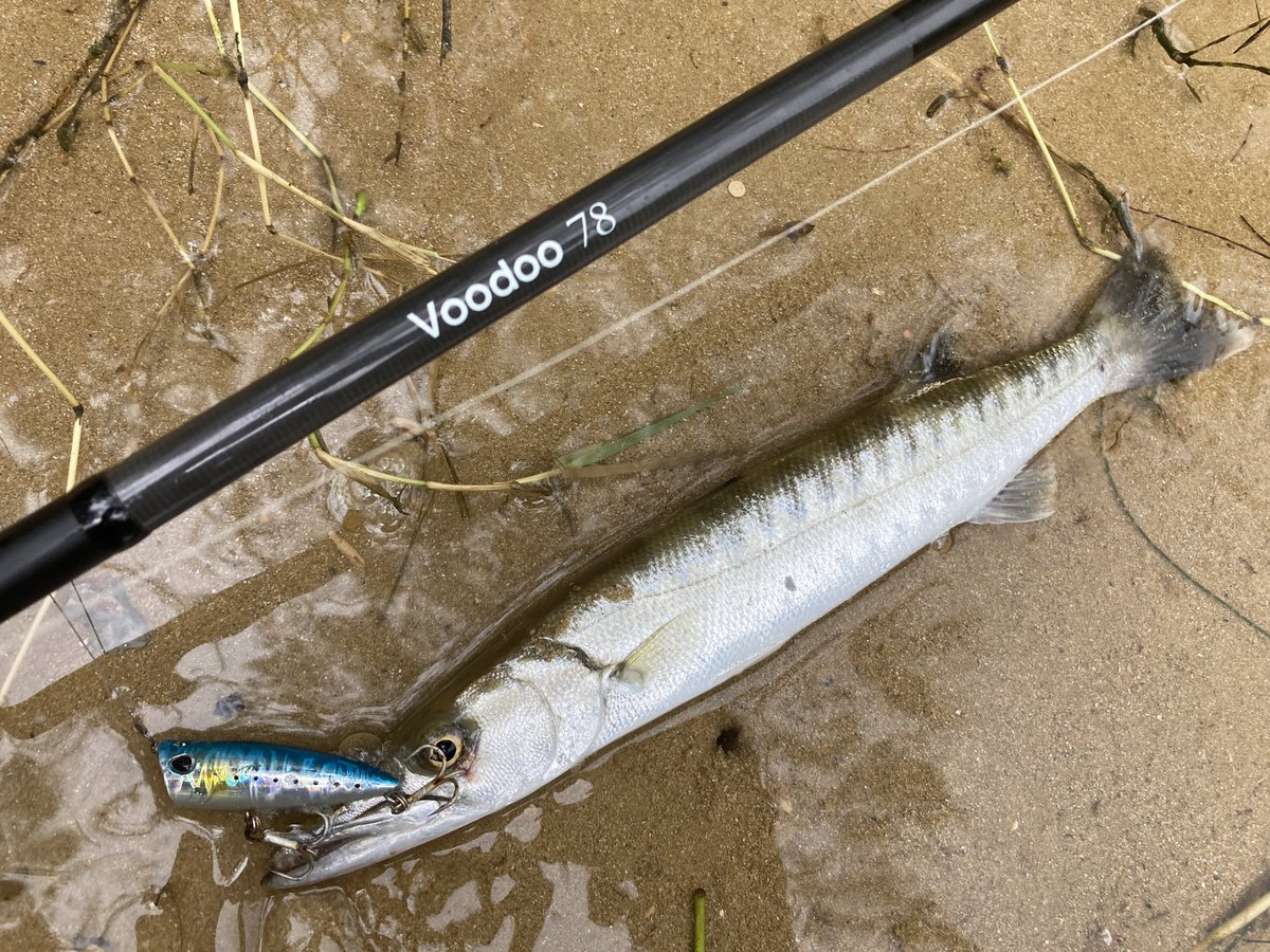 mrturizanmai's tweet photo. Voodoo78で78目チャレンジ!
4種追加で現在17目🐟
#voodoo78 #ブードゥー78 https://t.co/DmyOnLVx5O