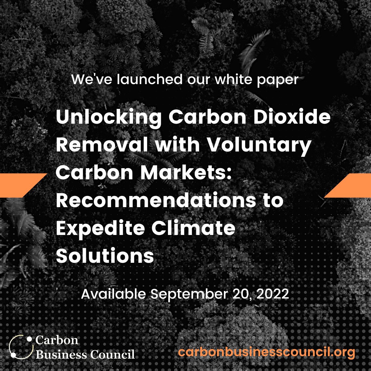 How can we strengthen #voluntarycarbonmarkets &amp; unlock gigaton scale #CDR? The Carbon Business Council's new white paper dives in: bit.ly/vcmwhitepaper! We’re excited to share our findings and recommendations during our #ClimateWeekNYC event this evening in NYC.