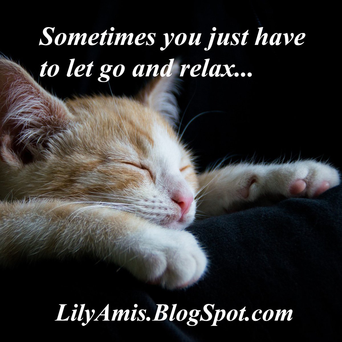 nasSimadesign's tweet photo. My favourite quotes! 
#lilyamis #nassimadesign #quote #quotes #quoteoftheday #quotesaboutlife #inspiring #inspiringquotes #goodreads #goodreadsquotes #blog #blogger #blogging #blogposts #quotesdaily #quotestoliveby #LifeQuotesToLiveBy https://t.co/h1UculnDDm