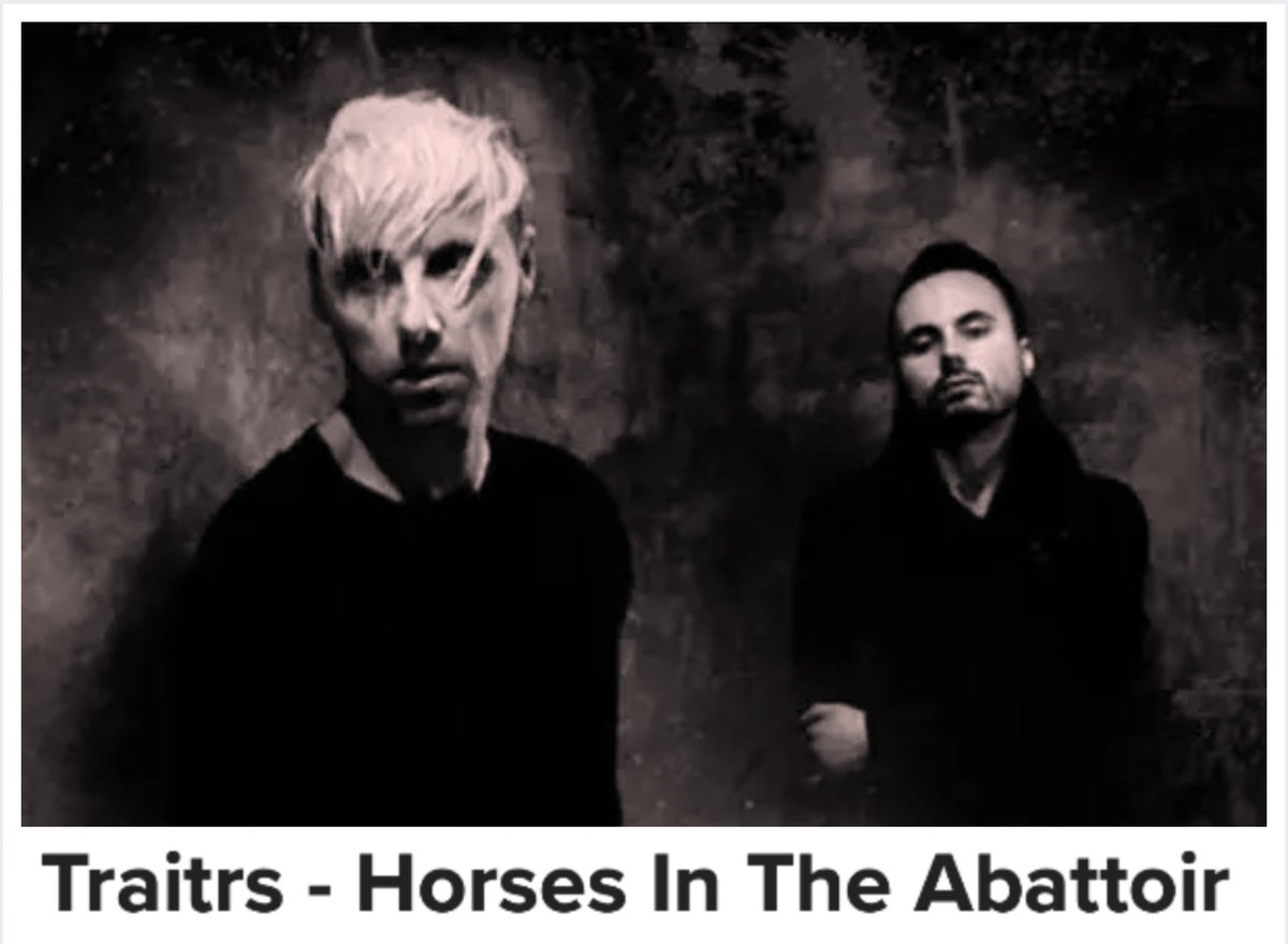 ShamelessPR_'s tweet photo. Enjoy a virtual sonic trip to @TRAITRS' Toronto with this new #Lifesteps Magazine review of their much acclaimed 'Horses in the Abattoir' LP~ https://t.co/U0d5WTJIiB @LifeStepsGR #TRAITRS @musicblogrt @ArtistRTweeters @blazedrts @lovingblogs @creatorzrt @ourblogginglife #postpunk https://t.co/g0FM3ejSTy