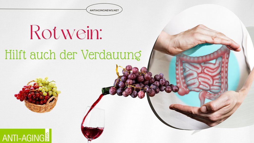 AntiAgingNews3's tweet image. Die Hauptsubstanz im #Rotwein, #Resveratrol, hat aufgrund ihrer #Polyphenole viele gesundheitliche Effekte.  Laut Forschungen kann Rotwein auch den #Darm schützen.

Wie er sich auf die #Verdauung auswirkt, erfahren Sie hier:

antiagingnews.net/rotwein-hilft-…