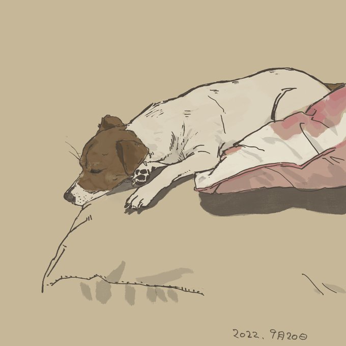 今日のちゃんクー 