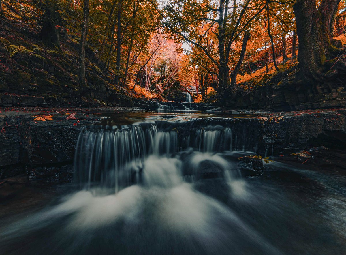 Adam Littlemore photography tweet media