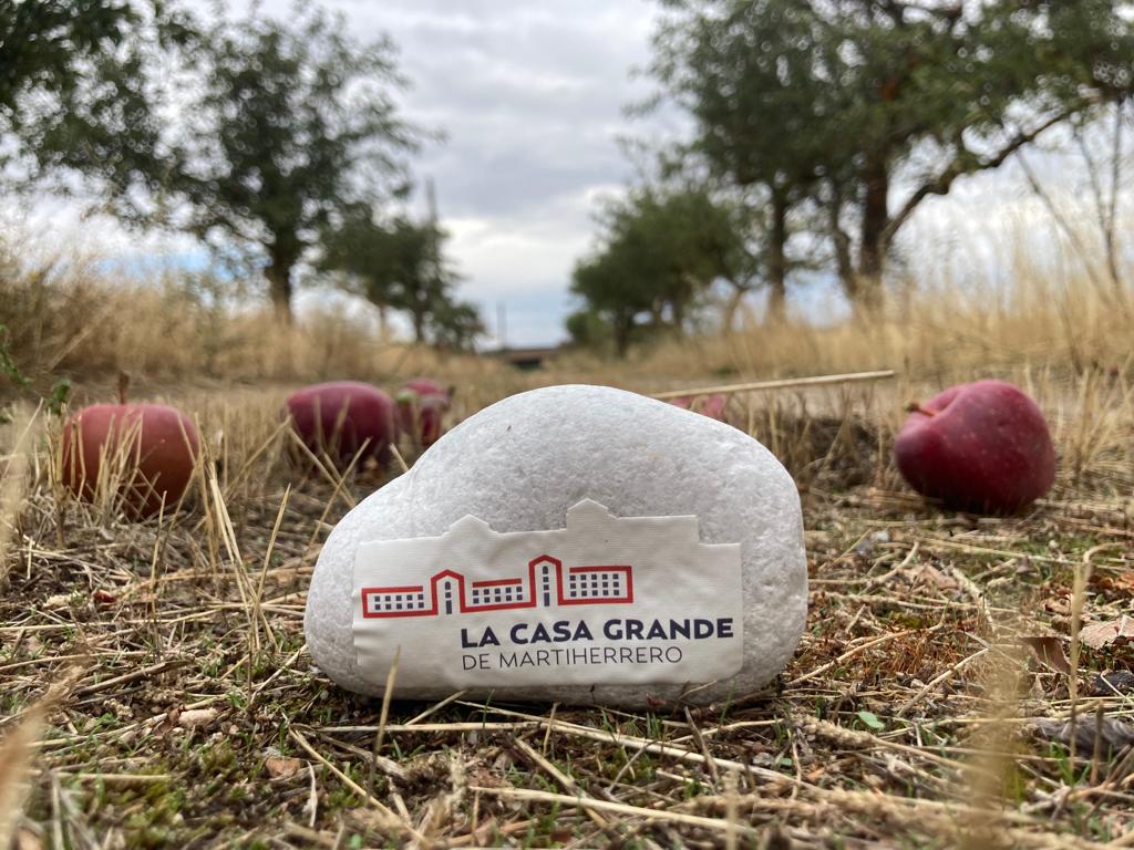 casagrande_la's tweet photo. Ya encontraste la tuya? 
Guárdatela y ven a conocernos.
#llevamecontigo
Si encuentras una piedra con un logotipo de una asociación de personas con discapacidad, llévala el viernes 30 de septiembre de 19h a 21h a la plaza de Santa Teresa y te daremos una sorpresa. Te esperamos. https://t.co/L0ilRFnd66
