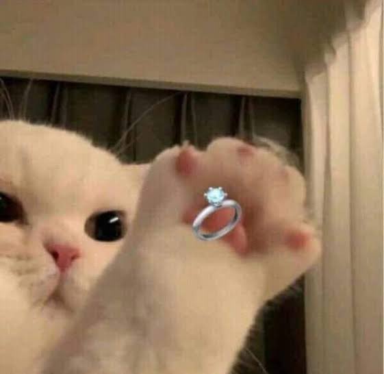 cs_punch's tweet photo. หัวใจมาร์คจิรันสิบล้านดวง @Markjrtn 🥺🫶🏻🤟🏻🤍 https://t.co/zUGk2DWJlA