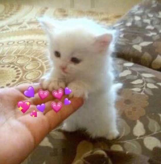 cs_punch's tweet photo. หัวใจมาร์คจิรันสิบล้านดวง @Markjrtn 🥺🫶🏻🤟🏻🤍 https://t.co/zUGk2DWJlA
