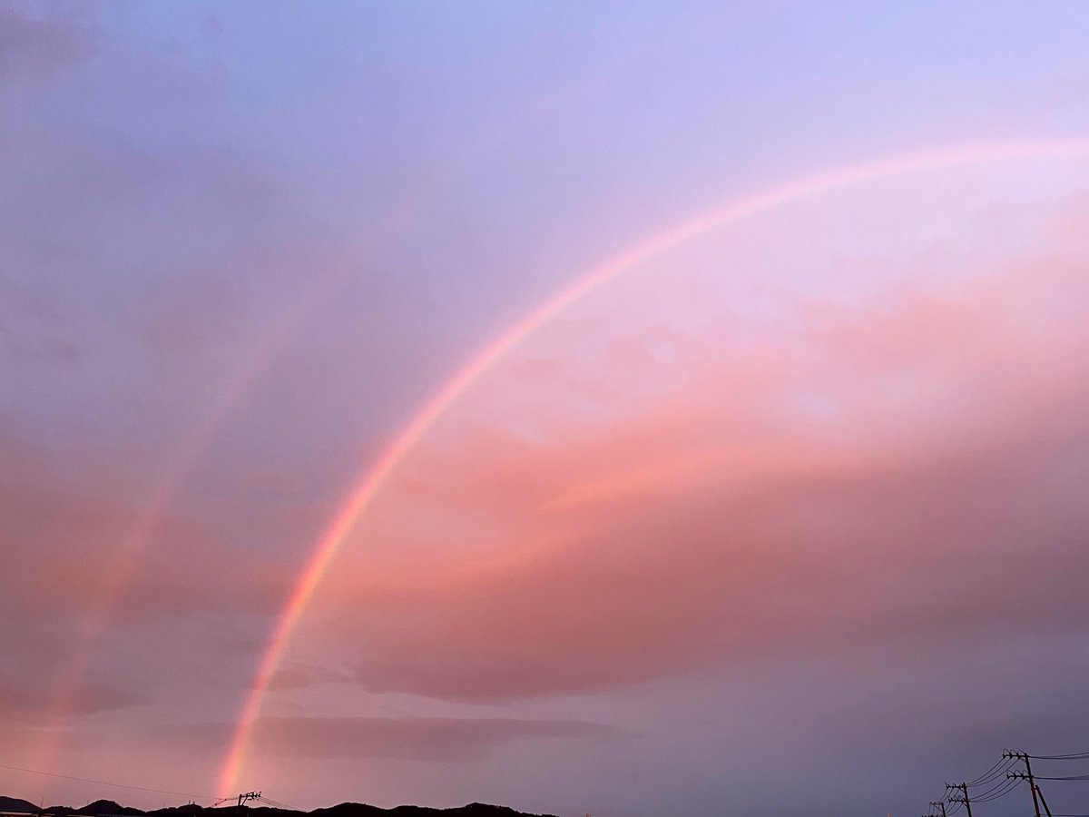 やひろ tweet media