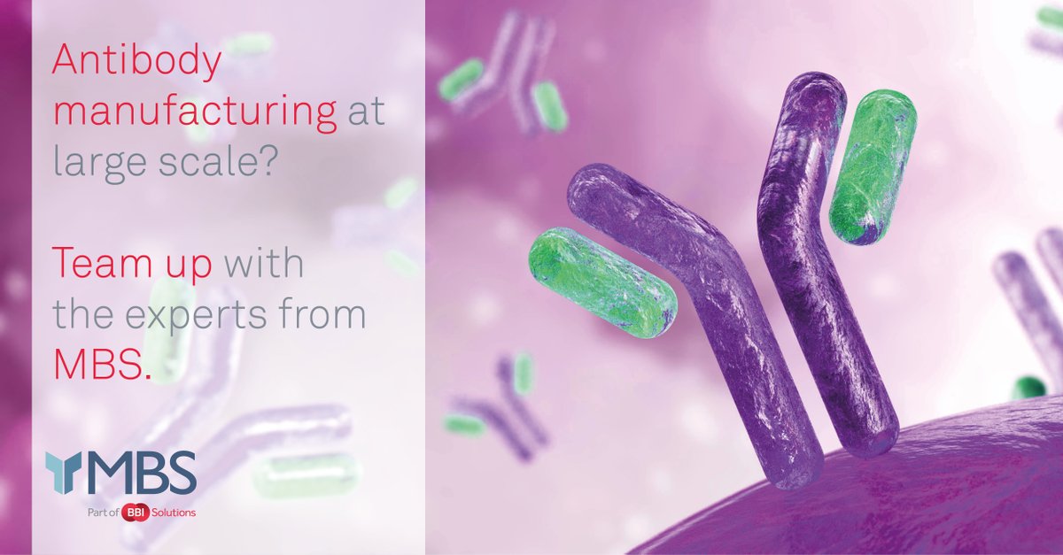BioTez's tweet photo. Large lot sizes are important factors to consider for assay manufactures to minimize costly pre-tests. BBI offers scalable production models to fit your assay needs. To learn more schedule a meeting with us at WRIB 2022 in Atlanta by using the link below:
https://t.co/0F1rVO5uKg https://t.co/SKosimO4Ub