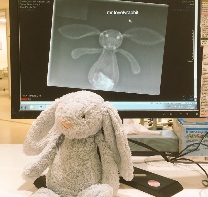 docjohncraven's tweet photo. @ReadingsBooks @AmyRemeikis I believe I have met this bunny before https://t.co/NDGbbebXRt