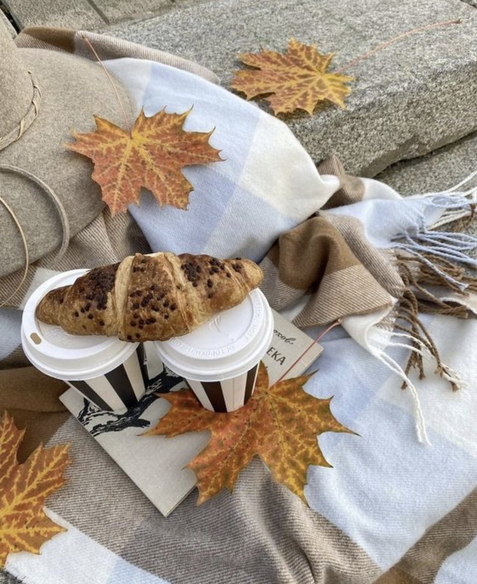 OfficialPLT's tweet photo. Time for oversized sweatshirts and candles 🍂 https://t.co/TckLhxYlNa