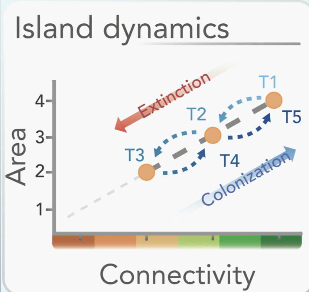 RPAbiodiversity's tweet photo. Reflection: After a year of focusing my writing on species prevalence & detectability (& relevance for conservation), I’m returning to roles of species traits & environmental history (in affecting biotas of islands & habitat patches). #Biogeography is vibrant & exciting! #C_DIB https://t.co/khbwvCsb83