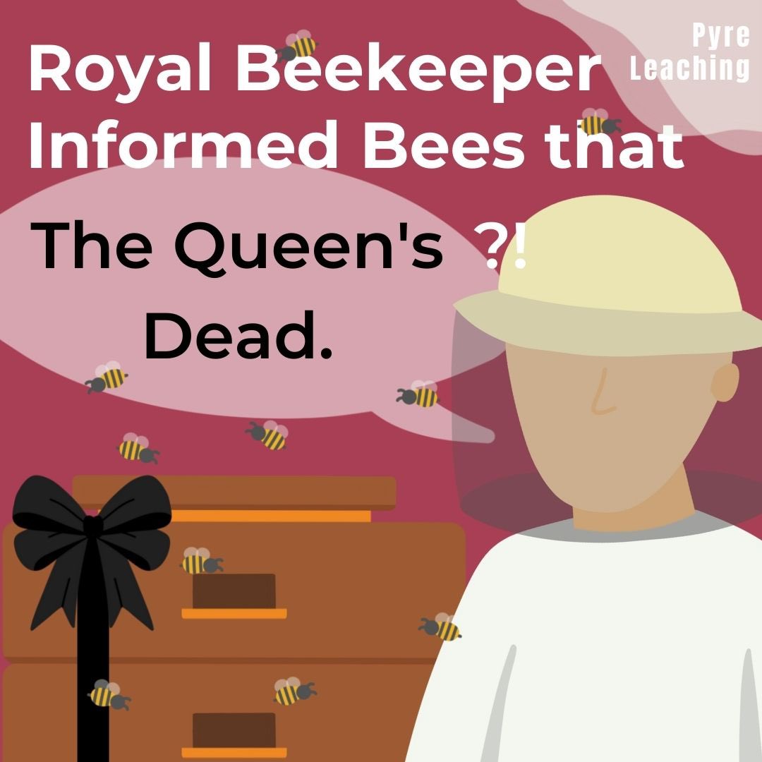 warwickigem's tweet photo. 𝗔𝗻 𝗨𝗻-𝗕𝗘𝗘-𝗟𝗶𝗲𝘃𝗮𝗯𝗹𝗲 𝗥𝗶𝘁𝘂𝗮𝗹 🐝
Sources: BBC, CBC, Daily Mail & National Geographic
#royalfamily #queenelizabeth #hmqueenelizabeth #hmqueen #bee #endangered #extinction #pyreleaching #scientific #trivia #funfacts #warwickuni #igem #igem2022 https://t.co/xCWZKaWyRx