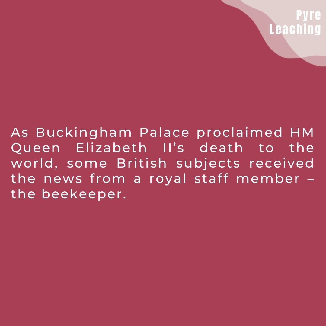 warwickigem's tweet photo. 𝗔𝗻 𝗨𝗻-𝗕𝗘𝗘-𝗟𝗶𝗲𝘃𝗮𝗯𝗹𝗲 𝗥𝗶𝘁𝘂𝗮𝗹 🐝
Sources: BBC, CBC, Daily Mail & National Geographic
#royalfamily #queenelizabeth #hmqueenelizabeth #hmqueen #bee #endangered #extinction #pyreleaching #scientific #trivia #funfacts #warwickuni #igem #igem2022 https://t.co/xCWZKaWyRx