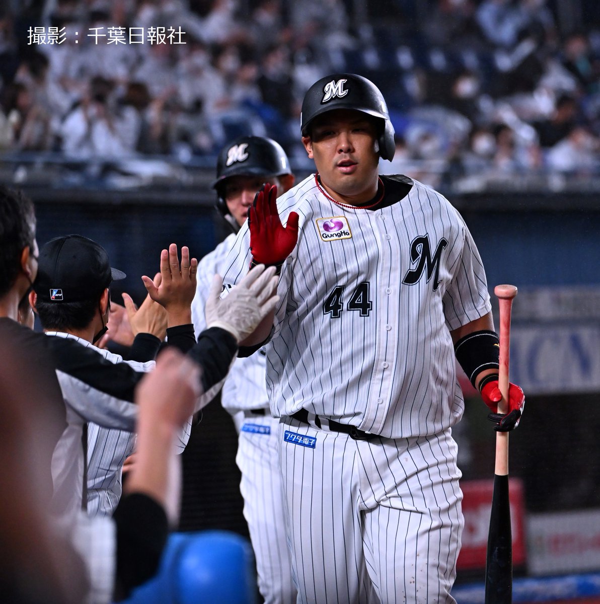 活動歴および当時の関連ビジュアル記録