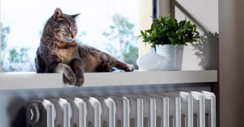 Heatkeeper Energy Saving Radiator Panels a quick, easy and affordable way to #savemoney on #energybills #fuelpovertyawareness #CostOfLivingCrisis #smallsteps
energysavingtrust.org.uk/.../insulating…