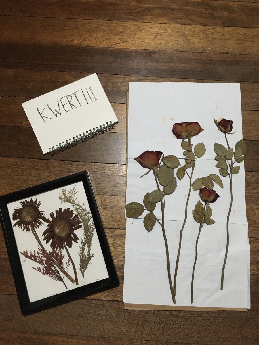 robolsfiles's tweet photo. Dried and Pressed Plant in a Frame

This is a surprise gift for my special one. Instead of disposing the Fresh bouquet of flowers, I did this:)

@RippleReefs @GreenZone__ 
Tagfrnds 
@Adammcg20 
@patricklabelle7 
@SkylabXRP

#RippleReefs #CreativeRecycling #XRP #XRPL #NFTCommunity https://t.co/IujLvKEIgH