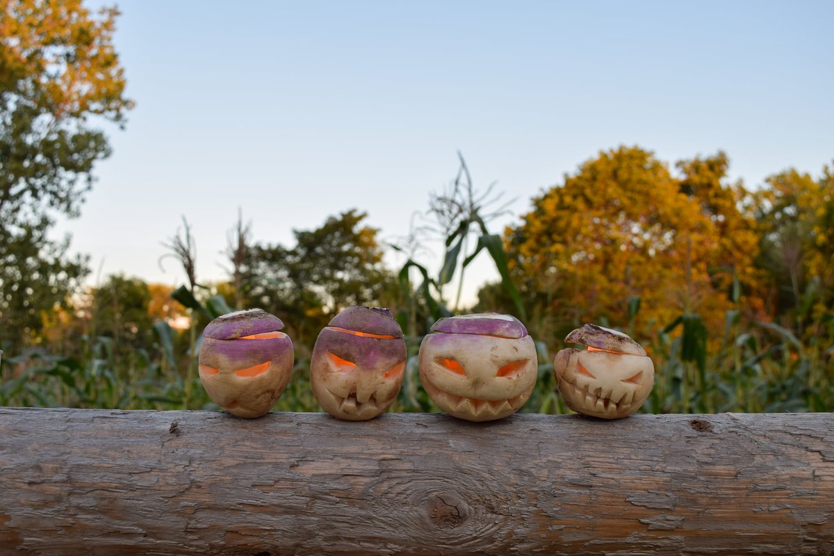 monroecomuseum's tweet photo. If you would like a chance to win a Family 4 Pack of Octobernight Tickets, head over to our Facebook page and share your best/worst Halloween pun!

https://t.co/oIxO2jz9ej 

#SpookySeason #FreeTickets  #MonroeMI https://t.co/NXhySMqlHo