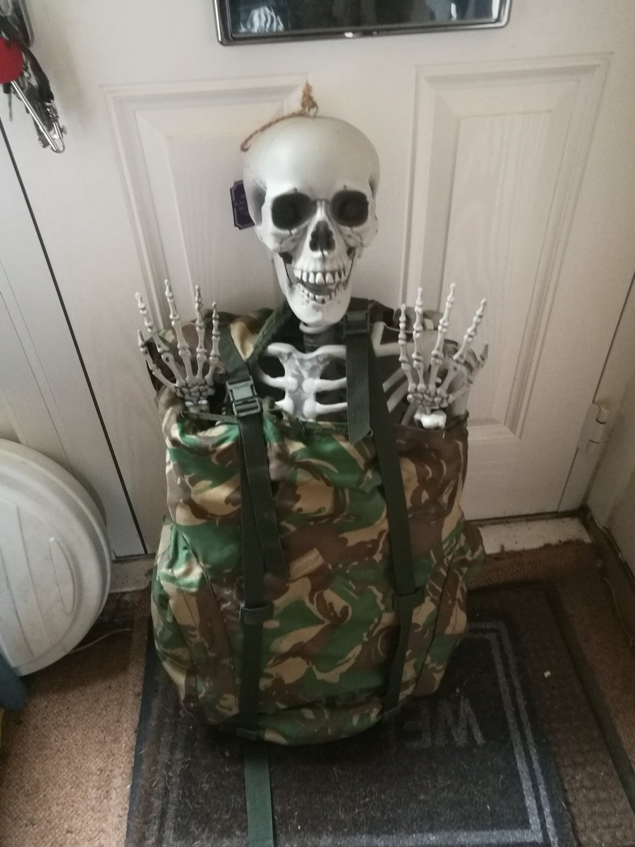 brianfinks69's tweet photo. When you go shopping for a couple of bits and have a friend to watch your back on the way home cycling... 😂😂 #everydayis #Halloween 💀💀💀💀 https://t.co/sm4M56Hc6c